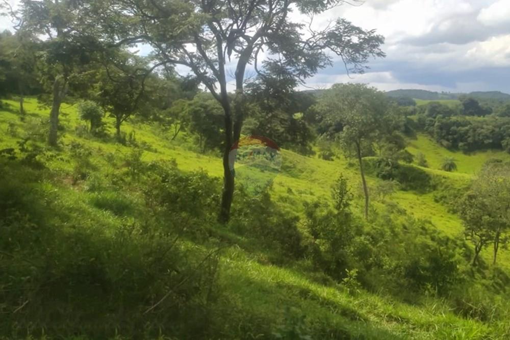 Chácara / Sítio / Fazenda - Venda - Queluzito , Minas Gerais - WhatsApp Image 2025-01-08 at 06.40.45.jpeg - 860421002-442