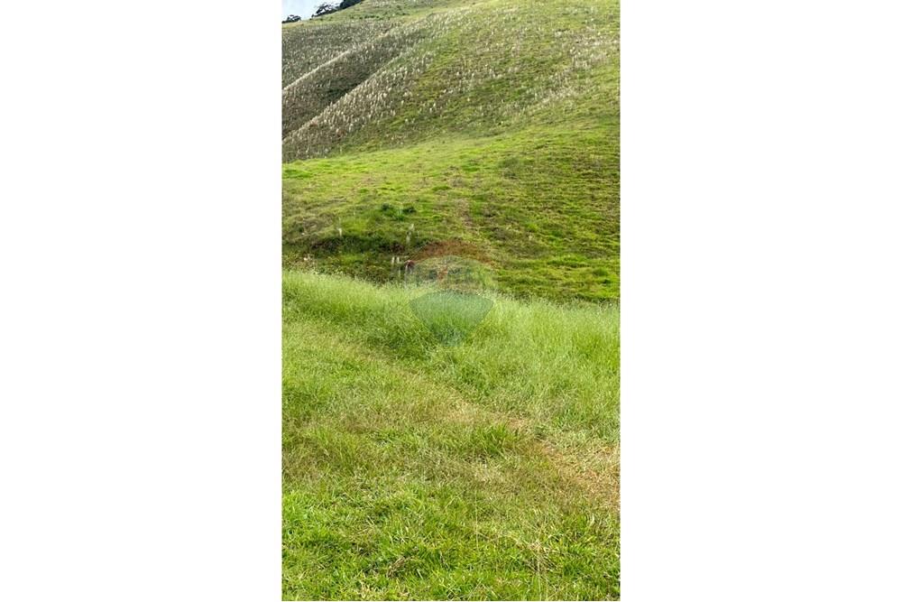 Chácara / Sítio / Fazenda - Venda - Lima Duarte , Minas Gerais - WhatsApp Image 2025-03-31 at 08.26.00.jpeg - 860291033-87