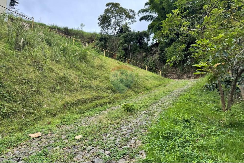 Casa Comercial - Alugar - Matias Barbosa , Minas Gerais - IMG_7950.JPEG - 860301001-628