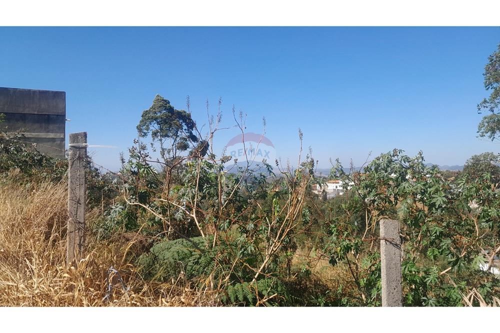 Terreno - Venda - Juiz de Fora , Minas Gerais - 20250905_091109.jpg - 860241098-51