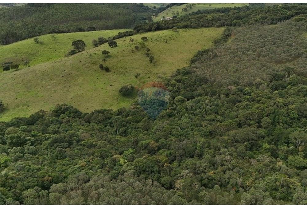 Terreno - Venda - Liberdade , Minas Gerais - sitio giffa15.jpg - 860271009-18