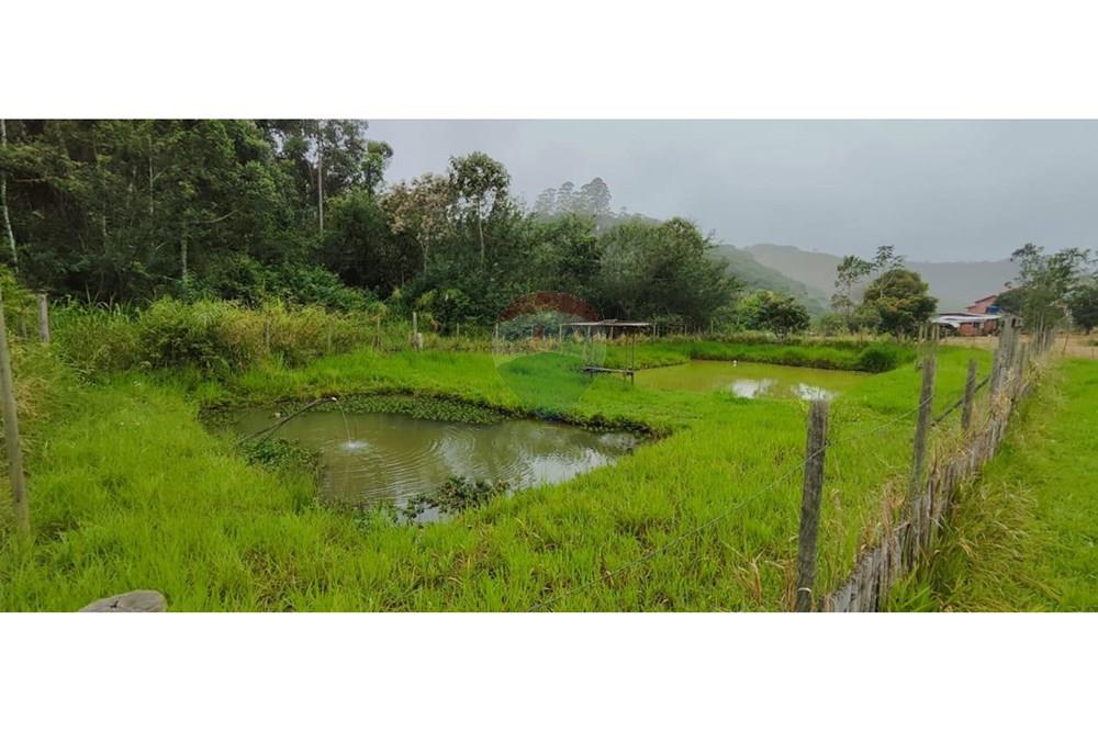 Chácara / Sítio / Fazenda - Venda - Juiz de Fora , Minas Gerais - IMG-20250411-WA0040.jpg - 860291033-94