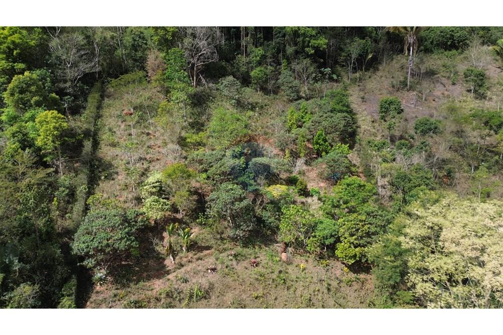 Casa - Venda - Juiz de Fora , Minas Gerais - a03b7594-8e49-4dca-b26a-7ab283446522.JPG - 860291041-21