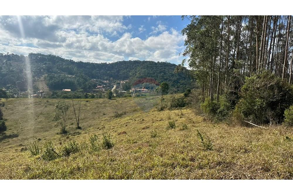 Terreno - Venda - Juiz de Fora , Minas Gerais - d84d02ea-e9d3-47fb-b865-a787895c74ae.JPG - 860291033-116