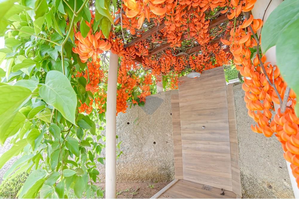 Casa - Venda - Simão Pereira , Minas Gerais - michaelseed photo_ SEMANA 5 - DIA 2-279.jpg - 860281018-136