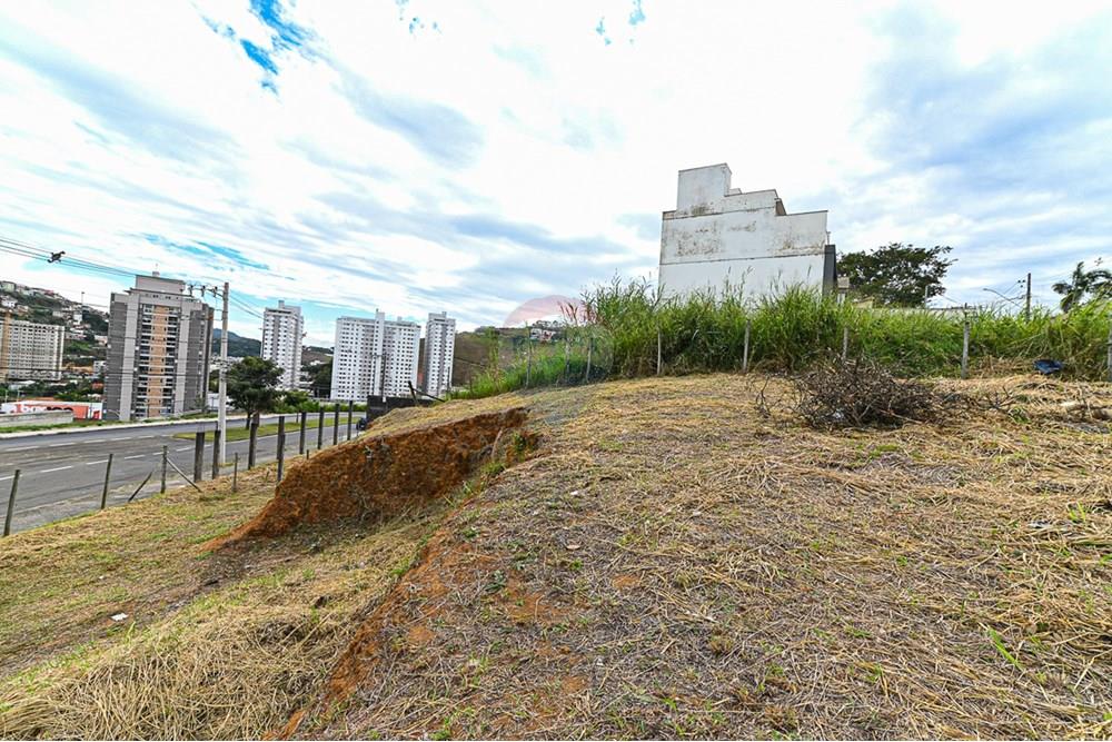Terreno - Venda - Juiz de Fora , Minas Gerais - michaelseed photo_202401-53.jpg - Fachada - 860211132-1