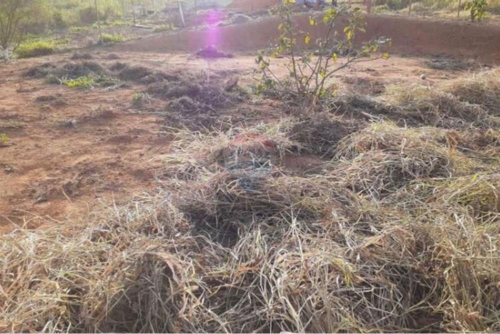 Terreno - Venda - Coronel Pacheco , Minas Gerais - 5-10.jpeg - 860271015-16