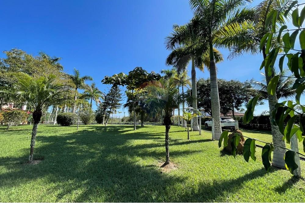 Chácara / Sítio / Fazenda - Venda - Goianá , Minas Gerais - IMG_4513.JPEG - 860301009-486
