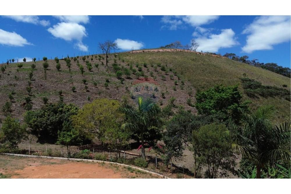 Terreno - Venda - Ewbank da Câmara , Minas Gerais - WhatsApp Image 2025-10-28 at 16.55.59.jpeg - 860241100-35