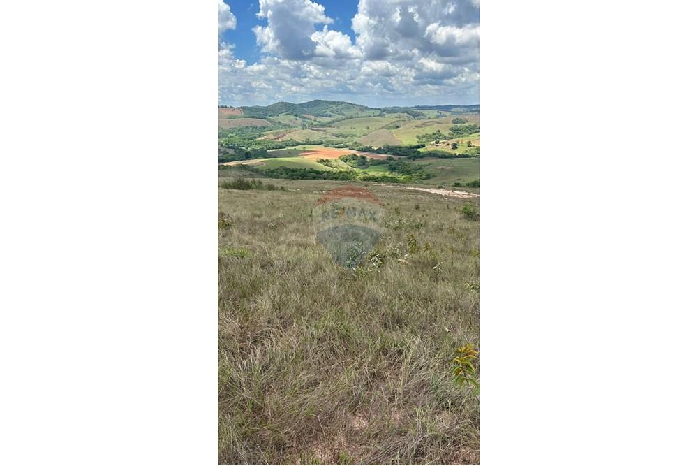 Chácara / Sítio / Fazenda - Venda - Santa Rita do Ibitipoca , Minas Gerais - bdd913bd-b6d3-4150-813f-20723bdf3aed.JPG - 860291033-67