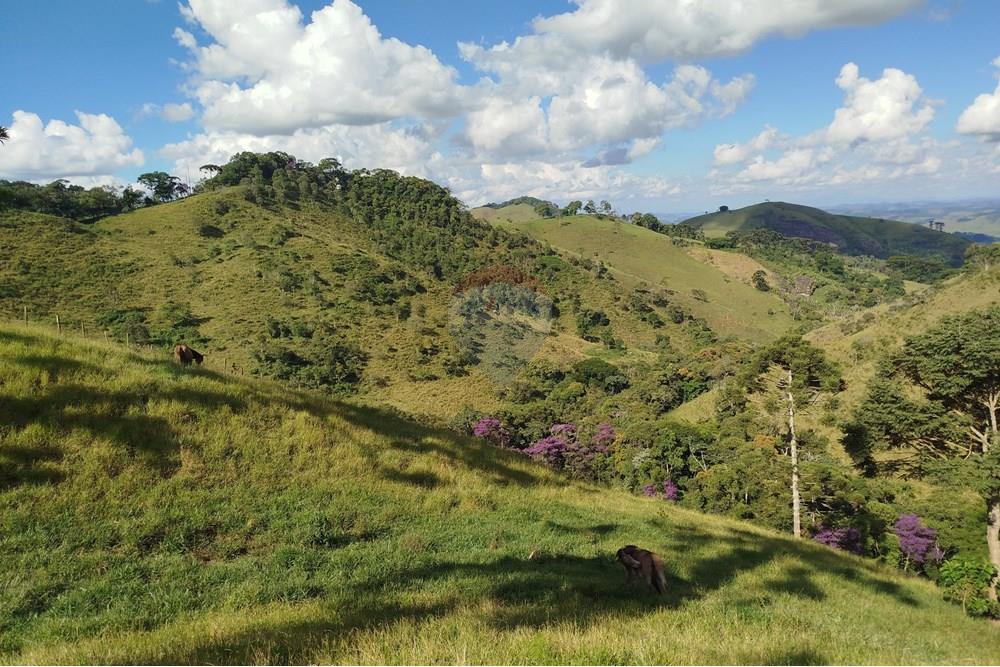 Fazenda - Venda - Barbacena , Minas Gerais - IMG_20250402_150129.jpg - 860391012-32