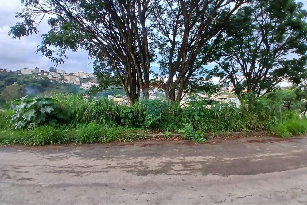 Terreno - Venda - Conselheiro Lafaiete , Minas Gerais - WhatsApp Image 2024-11-07 at 17.34.50 (1).jpeg - 860421029-77