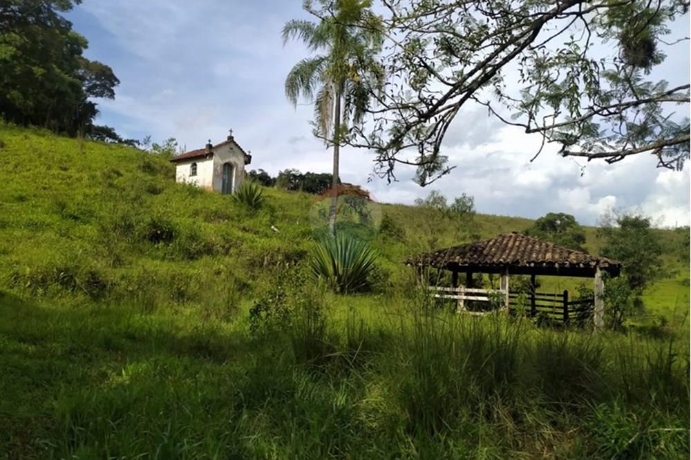 Chácara / Sítio / Fazenda - Venda - Queluzito , Minas Gerais - WhatsApp Image 2025-01-08 at 06.40.37.jpeg - 860421002-442