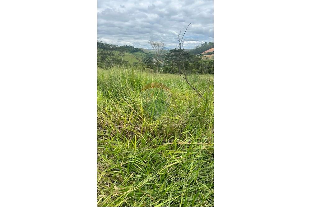 Terreno - Venda - Matias Barbosa , Minas Gerais - 7d9644fd-4904-4de8-ba94-67de72c08f7e.JPG - 860291033-86