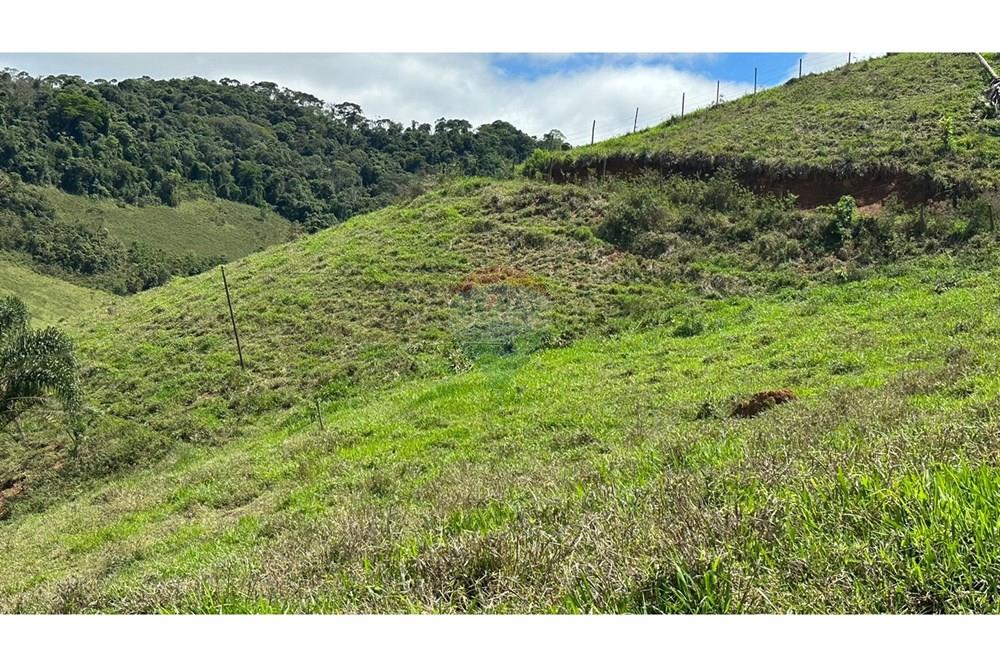 Chácara / Sítio / Fazenda - Venda - Juiz de Fora , Minas Gerais - 81040fe3-ca2b-4b1b-896c-a8da5c832a63.JPG - 860291033-68