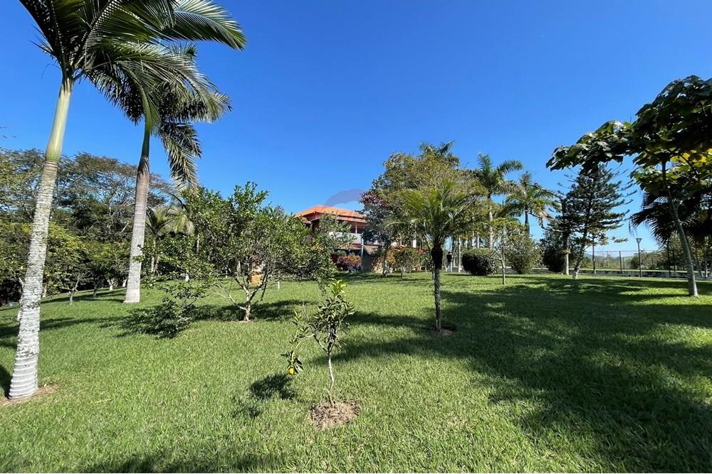 Chácara / Sítio / Fazenda - Venda - Goianá , Minas Gerais - IMG_4508.JPEG - 860301009-486