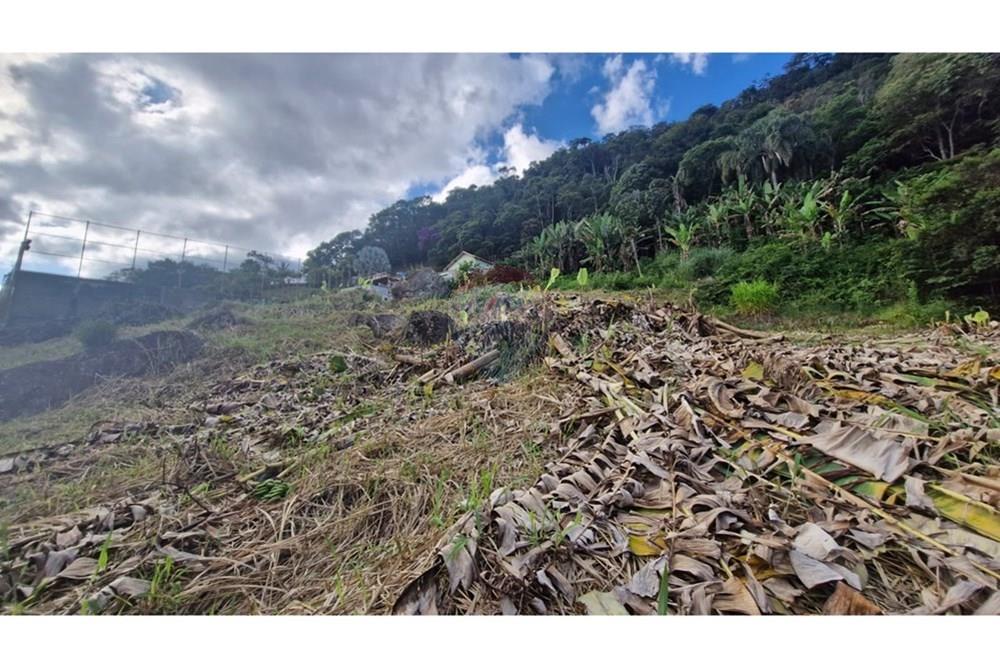 Terreno - Venda - Matias Barbosa , Minas Gerais - WhatsApp Image 2025-04-25 at 08.14.59 (1).jpeg - 860211017-59