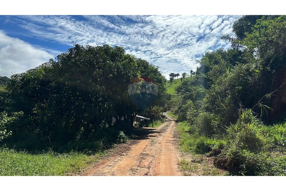 Chácara / Sítio / Fazenda - Venda - Juiz de Fora , Minas Gerais - 692bde86-a7ed-4bba-bb26-401cf96b2457.JPG - 860291033-68