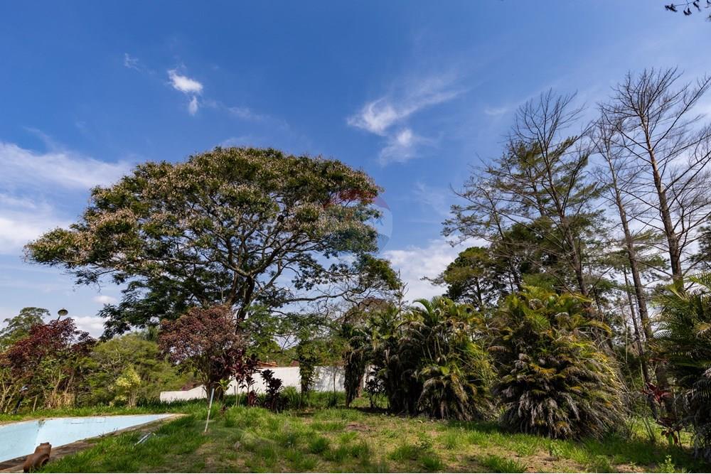 Terreno - Venda - Matias Barbosa , Minas Gerais - Campana-16.jpg - 860281009-136