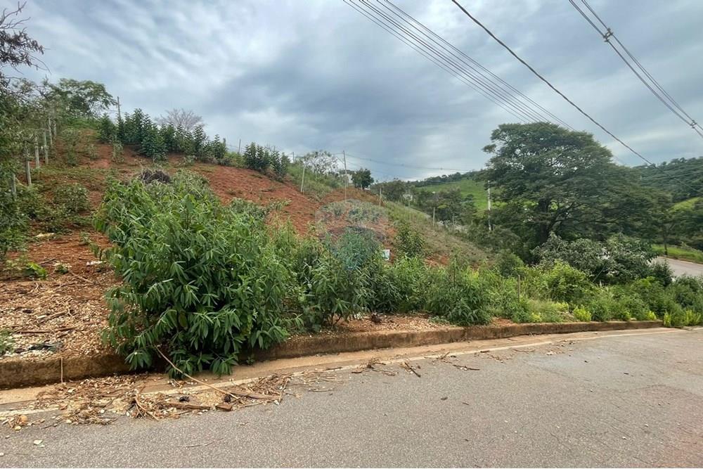 Terreno - Venda - Conselheiro Lafaiete , Minas Gerais - WhatsApp Image 2024-12-16 at 15.26.16.jpeg - 860421029-51
