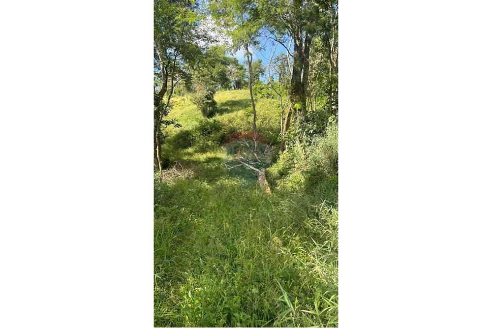 Terreno - Venda - Juiz de Fora , Minas Gerais - 4.JPG - 860291033-96