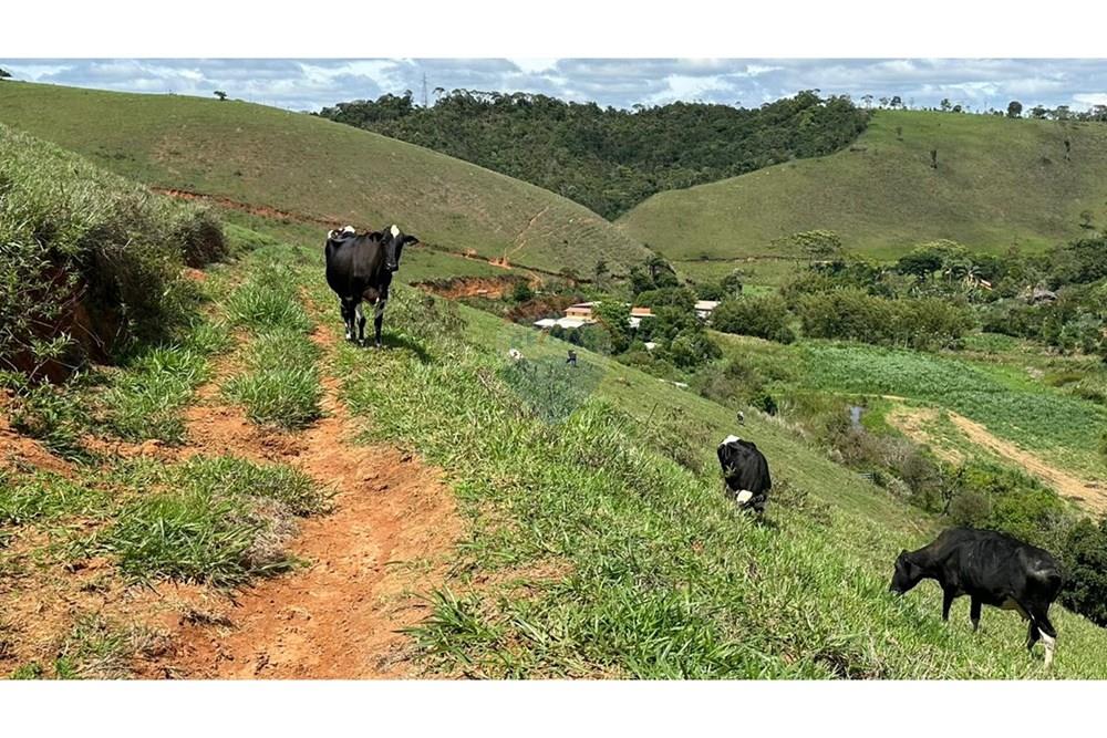 Chácara / Sítio / Fazenda - Venda - Juiz de Fora , Minas Gerais - a92bd30e-dfc4-424d-856e-f189c632fc72.JPG - 860291033-68