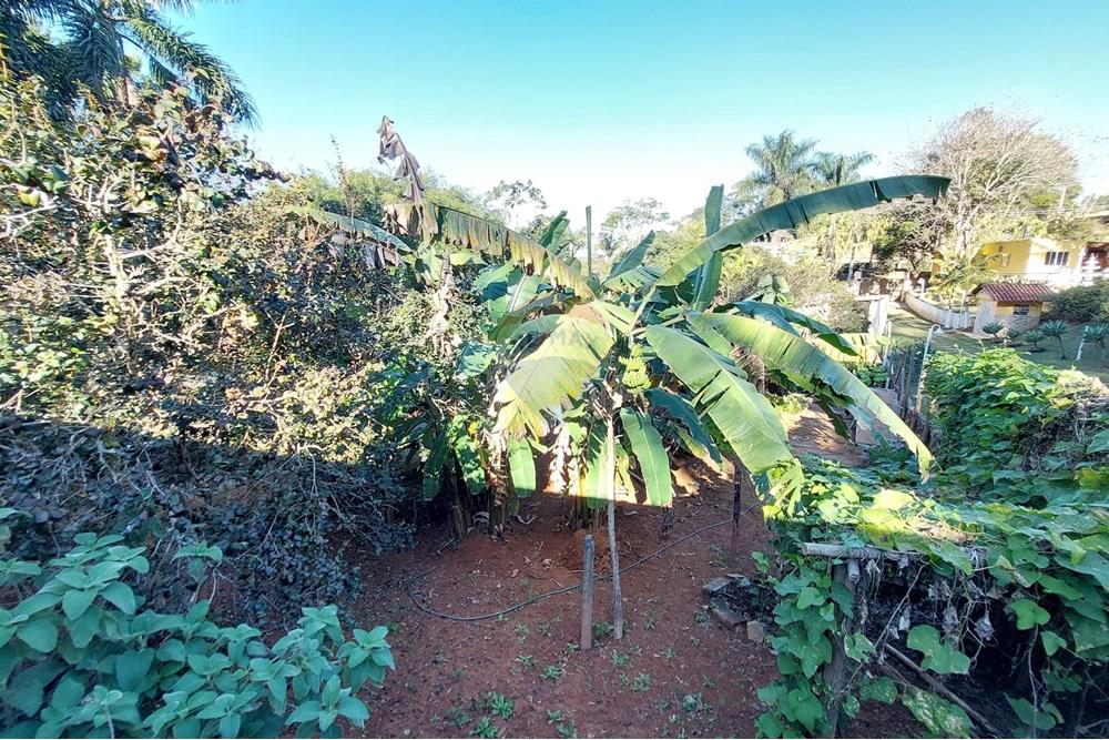 Chácara / Sítio / Fazenda - Venda - Juiz de Fora , Minas Gerais - WhatsApp Image 2025-06-27 at 14.54.29.jpeg - 860291012-111