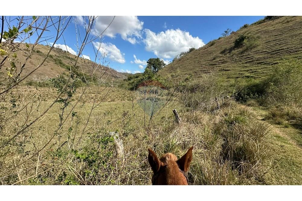Chácara / Sítio / Fazenda - Venda - Cantagalo , Rio de Janeiro - a28c92b7-2b93-434b-a345-e6b8cdb76dae.JPG - 860291041-3
