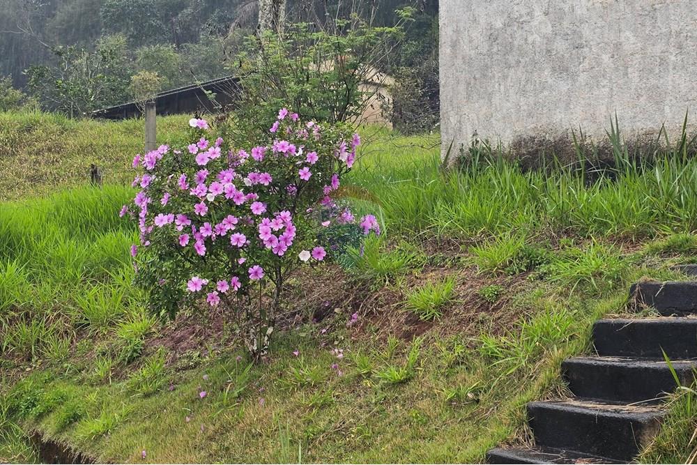 Chácara / Sítio / Fazenda - Venda - Juiz de Fora , Minas Gerais - 38.jpg - 860231001-221