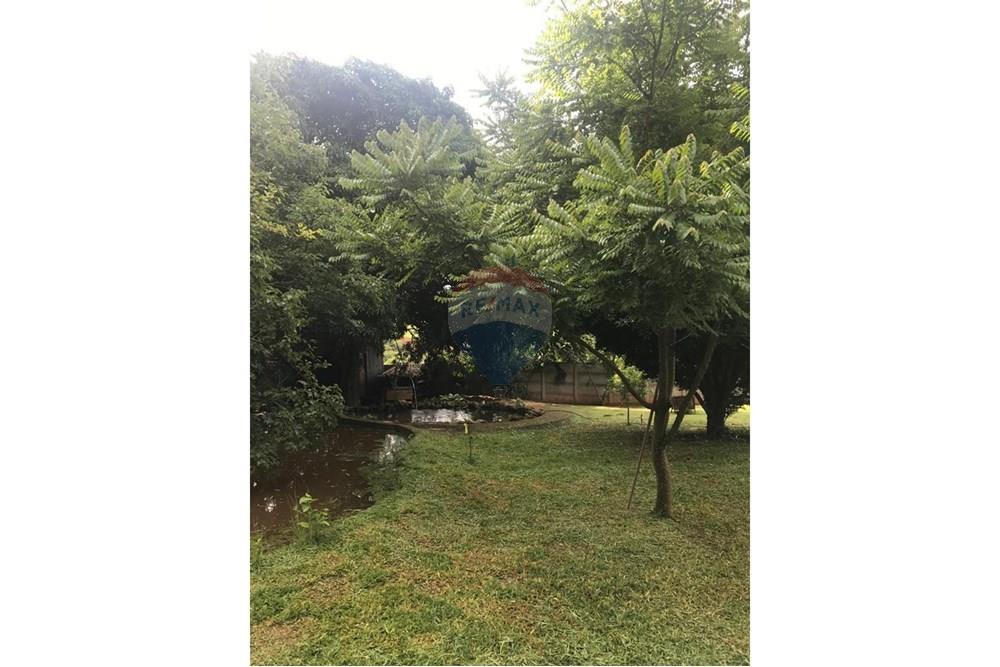 Chácara / Sítio / Fazenda - Venda - Lavras , Minas Gerais - WhatsApp Image 2024-11-06 at 17.03.13 (1).jpeg - 860471035-5