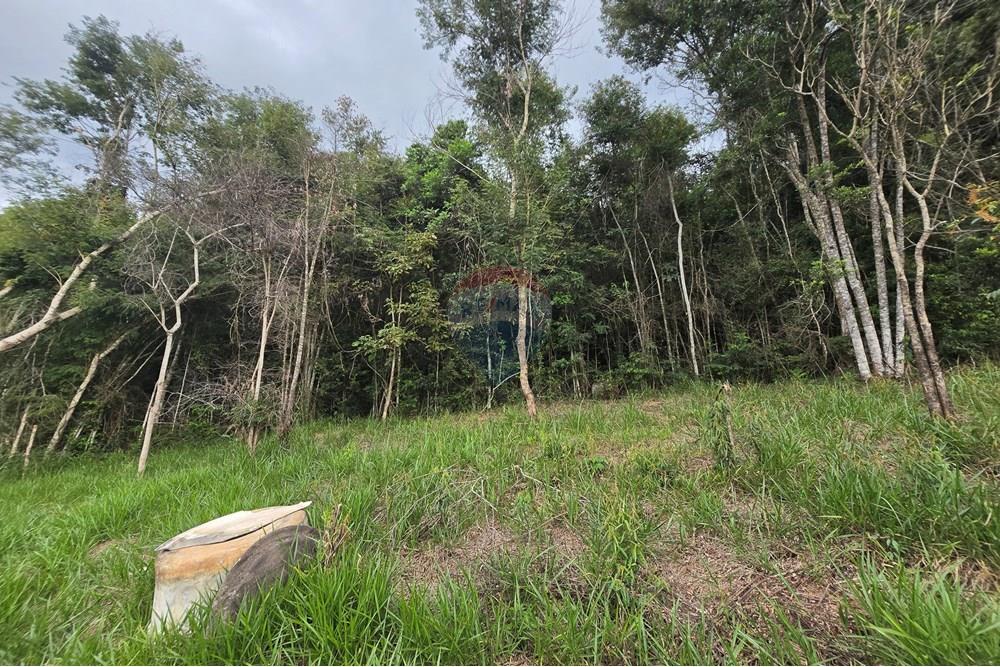 Chácara / Sítio / Fazenda - Venda - Juiz de Fora , Minas Gerais - 10 (2).jpg - 860231001-221