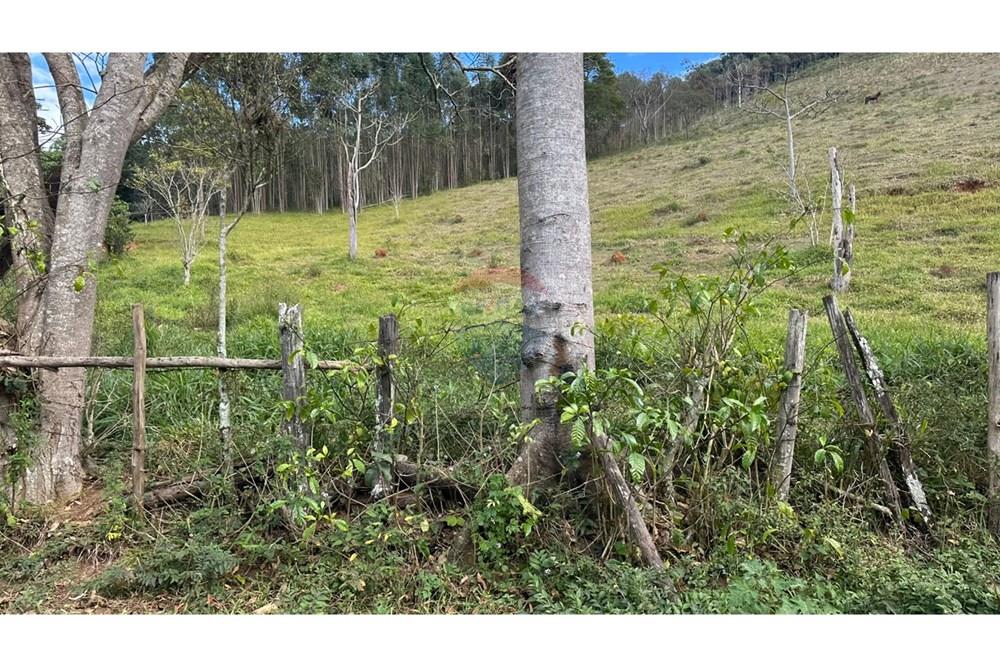 Chácara / Sítio / Fazenda - Venda - Lamim , Minas Gerais - WhatsApp Image 2025-09-05 at 10.36.58 (10).jpeg - 860291033-115