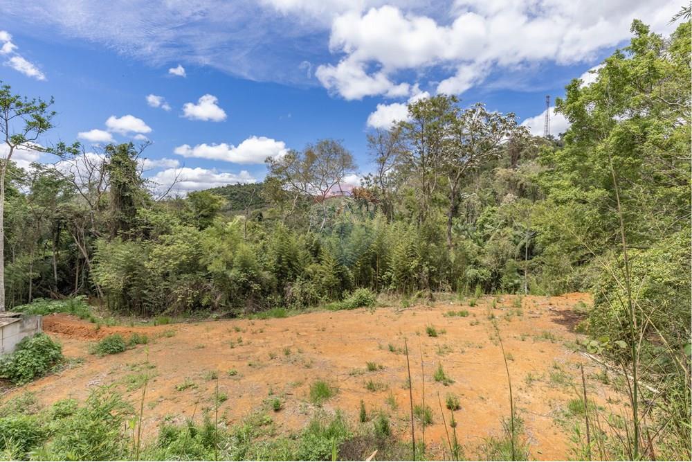 Chácara / Sítio / Fazenda - Venda - Juiz de Fora , Minas Gerais - FOTOIMOB-21.jpg - 860431023-209