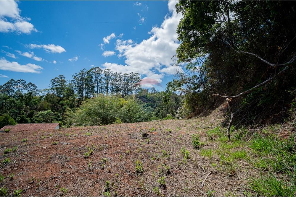 Terreno - Venda - Juiz de Fora , Minas Gerais - michaelseed photo_s3-200.jpg - Fachada - 860211077-205