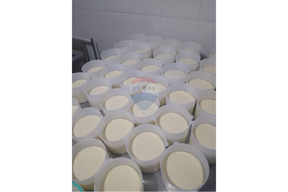 Chácara / Sítio / Fazenda - Venda - Juiz de Fora , Minas Gerais - 1689fc15-a8d9-4fc1-93b6-b8ec28e08923.JPG - 860291033-68