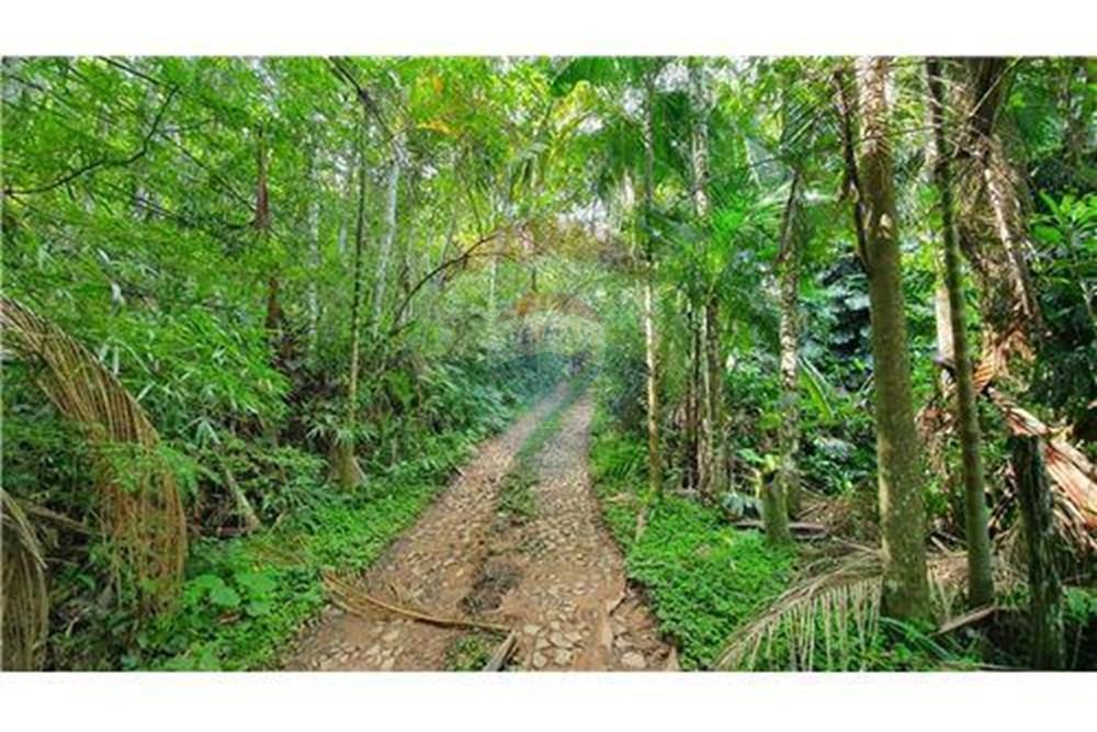 Terreno - Venda - Juiz de Fora , Minas Gerais - salva 4.jpg - 860231021-231