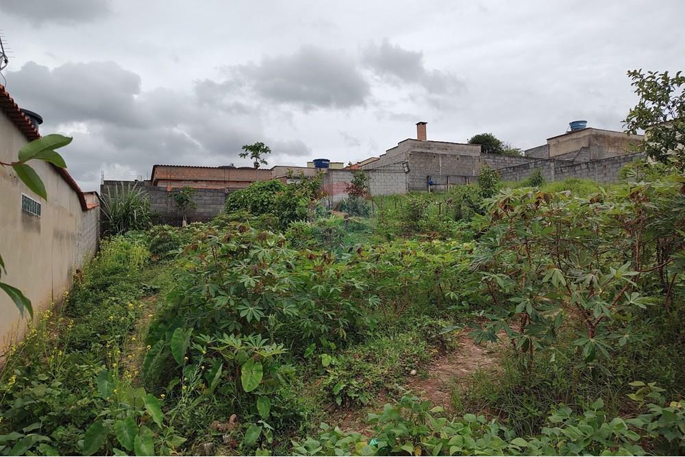 Terreno - Venda - Barbacena , Minas Gerais - WhatsApp Image 2024-12-20 at 10.57.45 (3).jpeg - 860391002-52