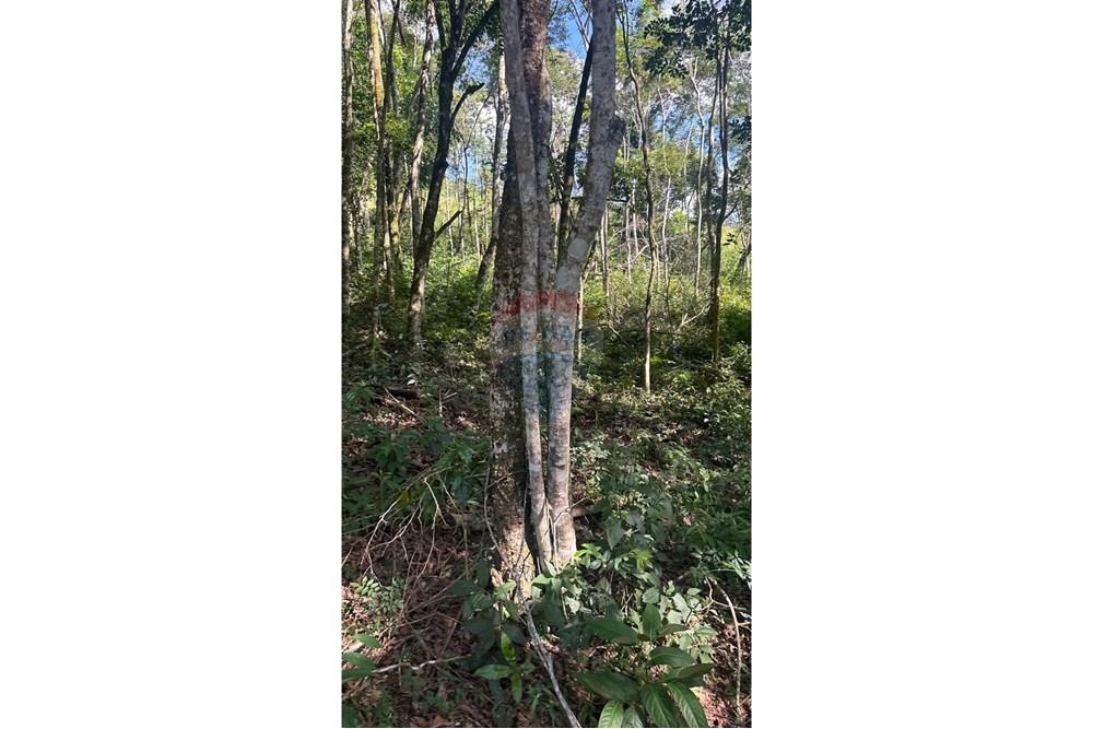 Terreno - Venda - Juiz de Fora , Minas Gerais - 7.JPG - 860291033-96