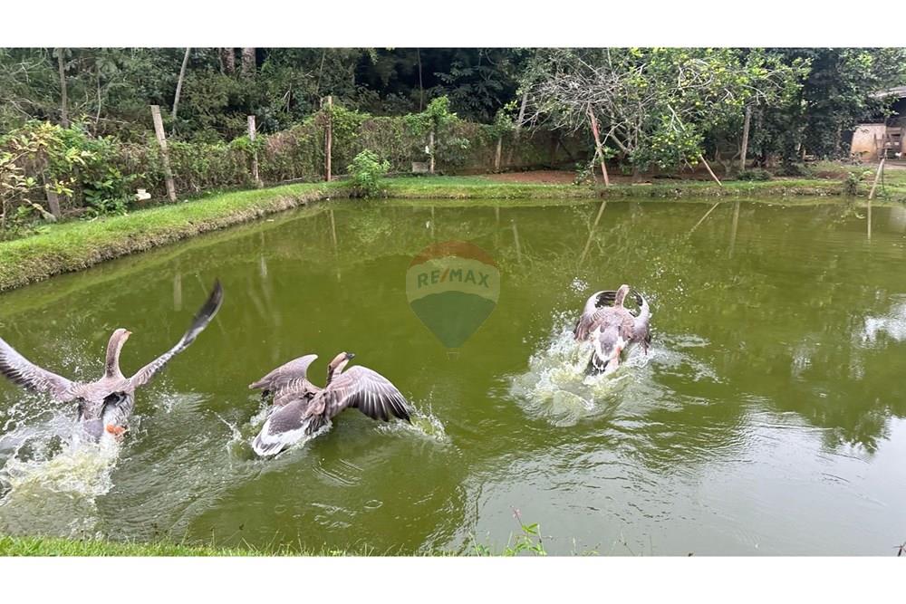 Chácara / Sítio / Fazenda - Venda - Rio Novo , Minas Gerais - RIO NOVO (54).JPG - 860291033-98