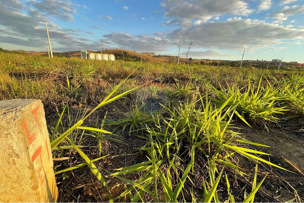 Terreno - Venda - Muriaé , Minas Gerais - WhatsApp Image 2024-06-20 at 13.48.42.jpeg - 860371007-106