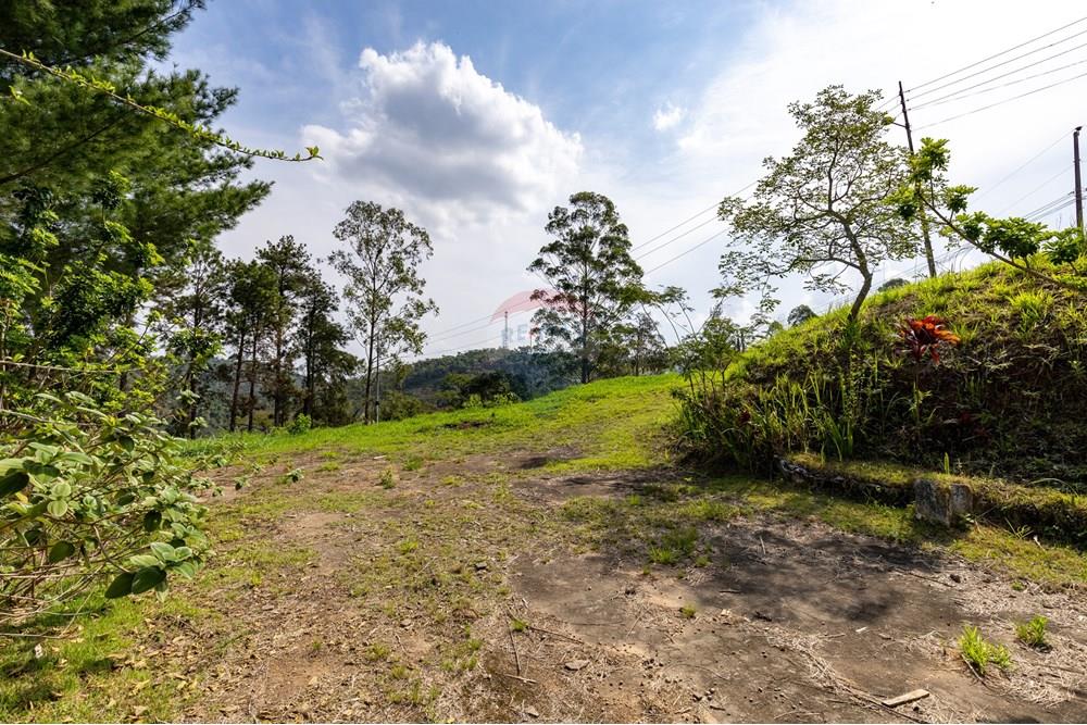Terreno - Venda - Matias Barbosa , Minas Gerais - Campana-19.jpg - 860281009-136