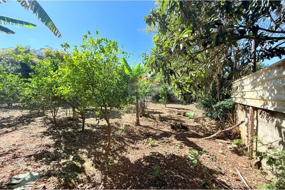 Terreno - Venda - Juiz de Fora , Minas Gerais - WhatsApp Image 2025-09-04 at 15.47.10 (3).jpeg - Jardim Interno - 860211077-201