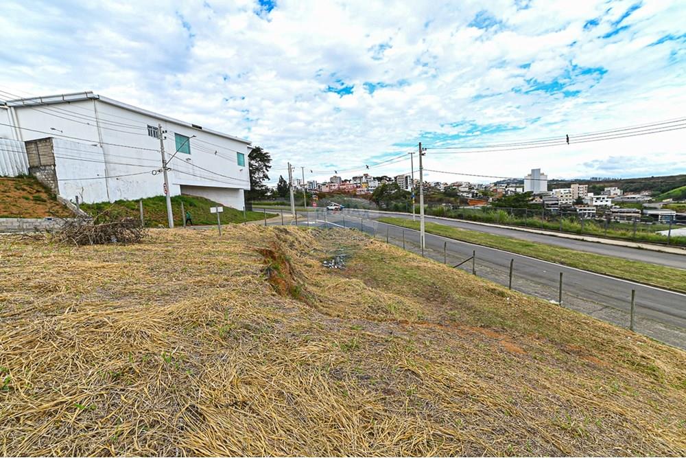 Terreno - Venda - Juiz de Fora , Minas Gerais - michaelseed photo_202401-49.jpg - Suite - 860211132-1