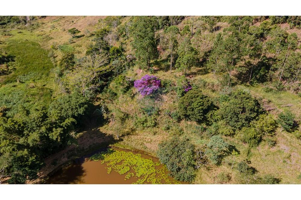 Terreno - Venda - Juiz de Fora , Minas Gerais - LOTE5-16.jpg - 860211017-53