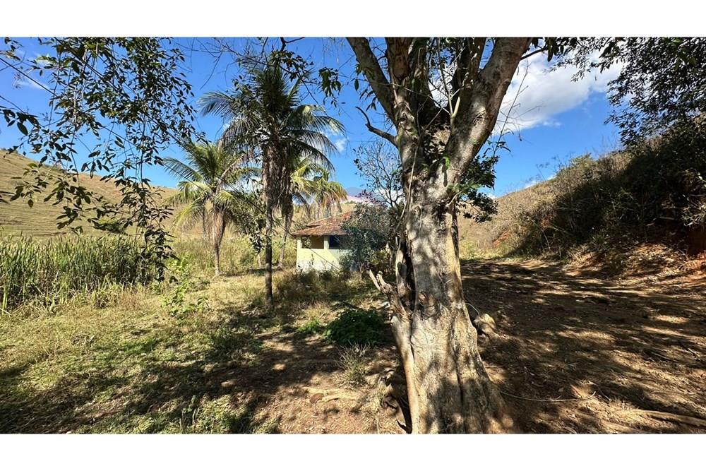 Chácara / Sítio / Fazenda - Venda - Cantagalo , Rio de Janeiro - c56f2b1d-9503-4975-a222-0320160b48d2.JPG - 860291041-3