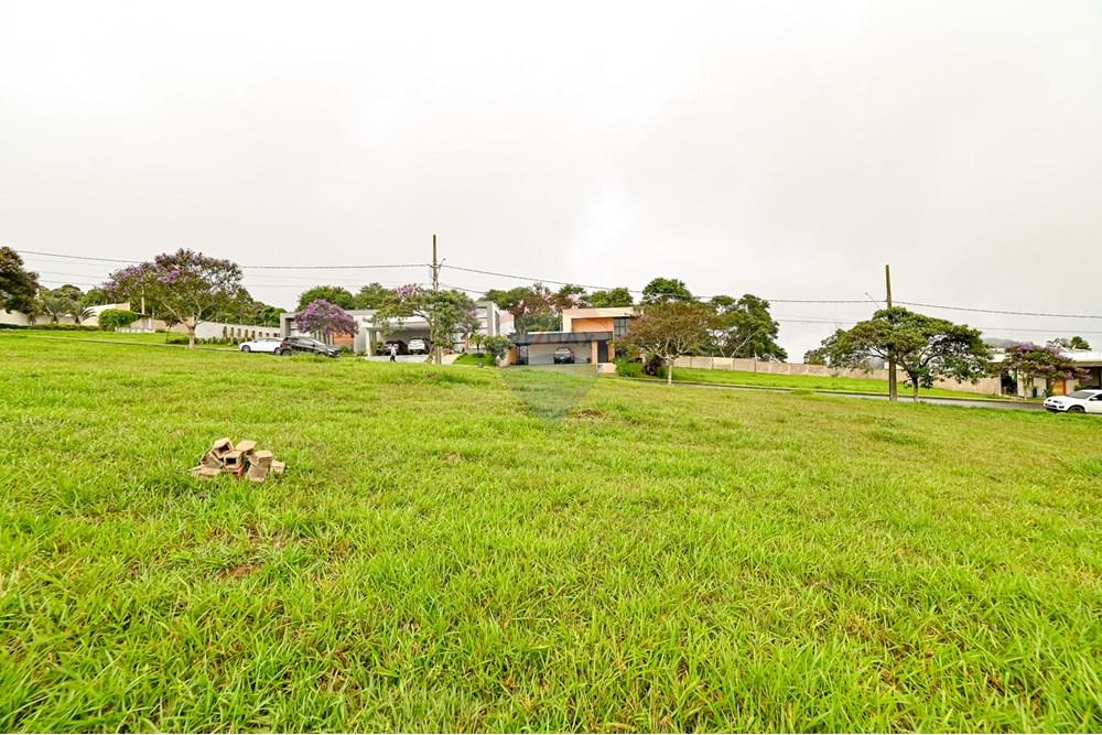 Terreno - Venda - Juiz de Fora , Minas Gerais - michaelseed.photo_ABRIL SEMANA 3-203.jpg - 860281136-4