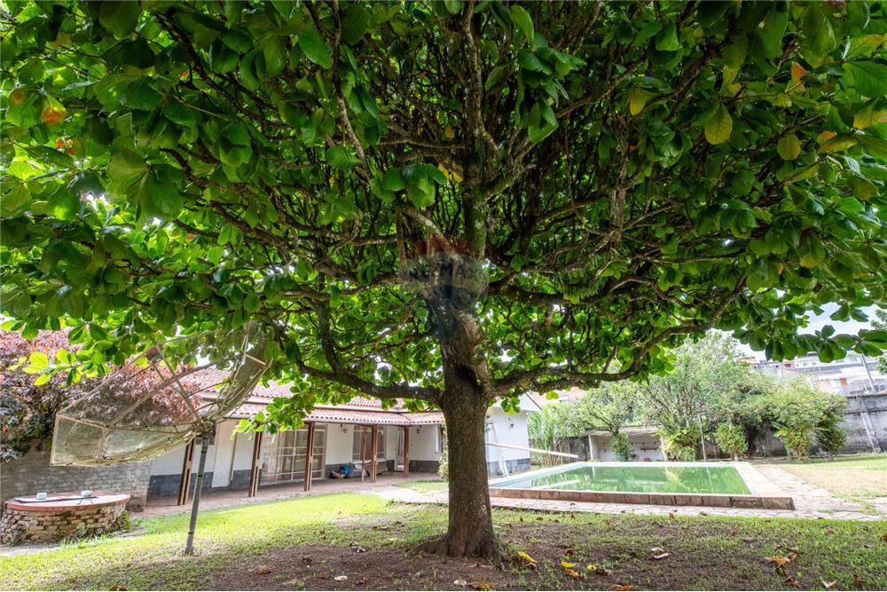 Casa - Venda - Juiz de Fora , Minas Gerais - 41 - 860241113-26