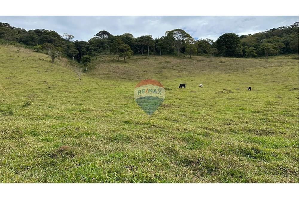 Chácara / Sítio / Fazenda - Venda - Lamim , Minas Gerais - L_3c4ea320-ddb7-483e-9268-34ae959527a6.jpg - 860291033-108