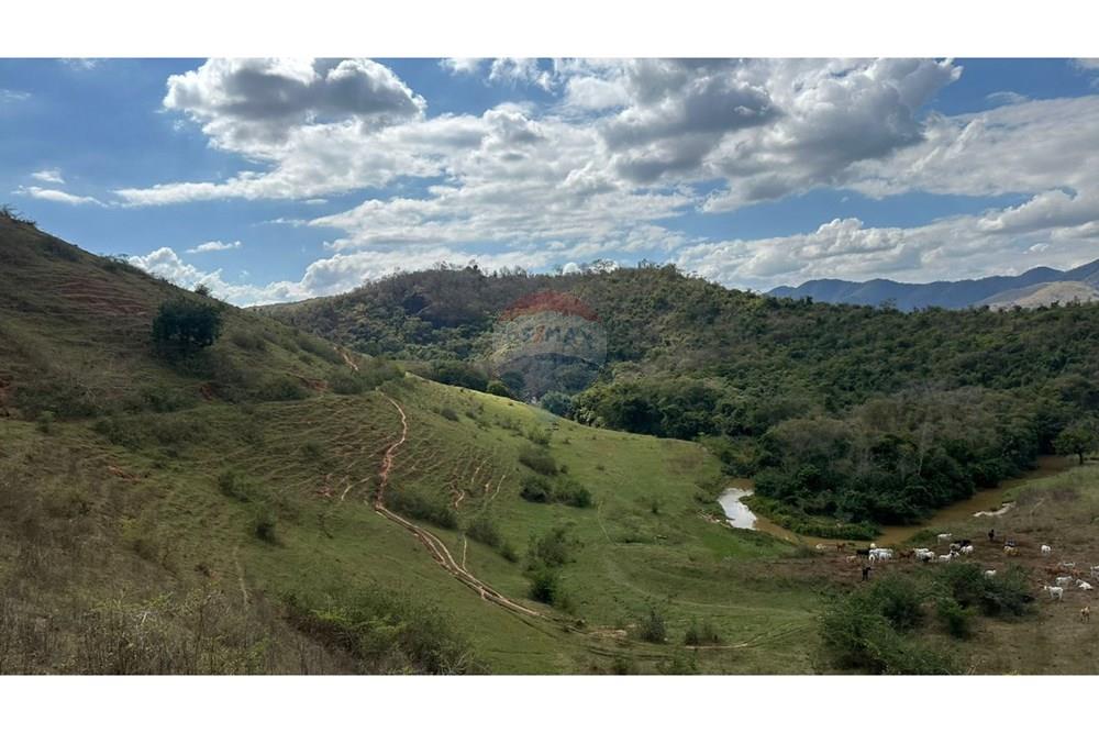 Chácara / Sítio / Fazenda - Venda - Cantagalo , Rio de Janeiro - 1db57d96-8934-4167-9b94-aa92e7418979.JPG - 860291041-3