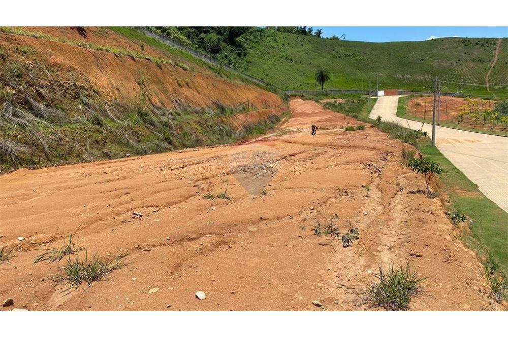 Terreno - Venda - Juiz de Fora , Minas Gerais - 8 - 860211053-4